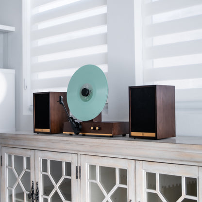 Fuse Audio GLD Vertical Vinyl Record Player with External Speakers